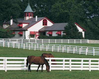 Calumet-Farm.jpg